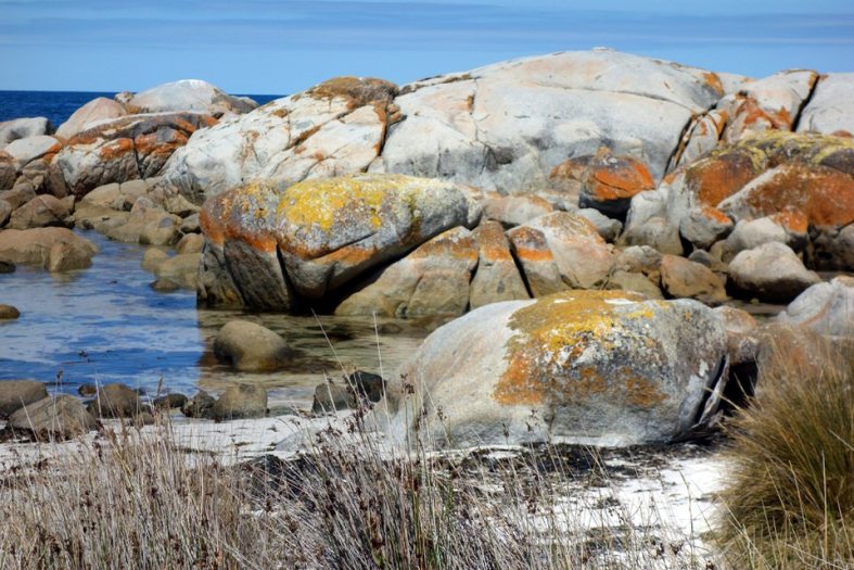Lichen covered rocks at Bay of Fires